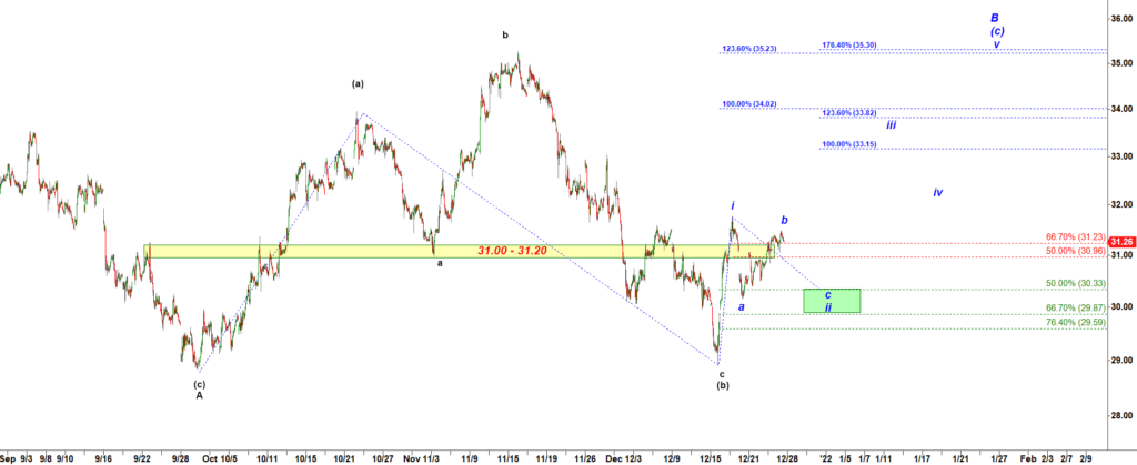 GDX-30-min-12-27-2021-1-24-pm